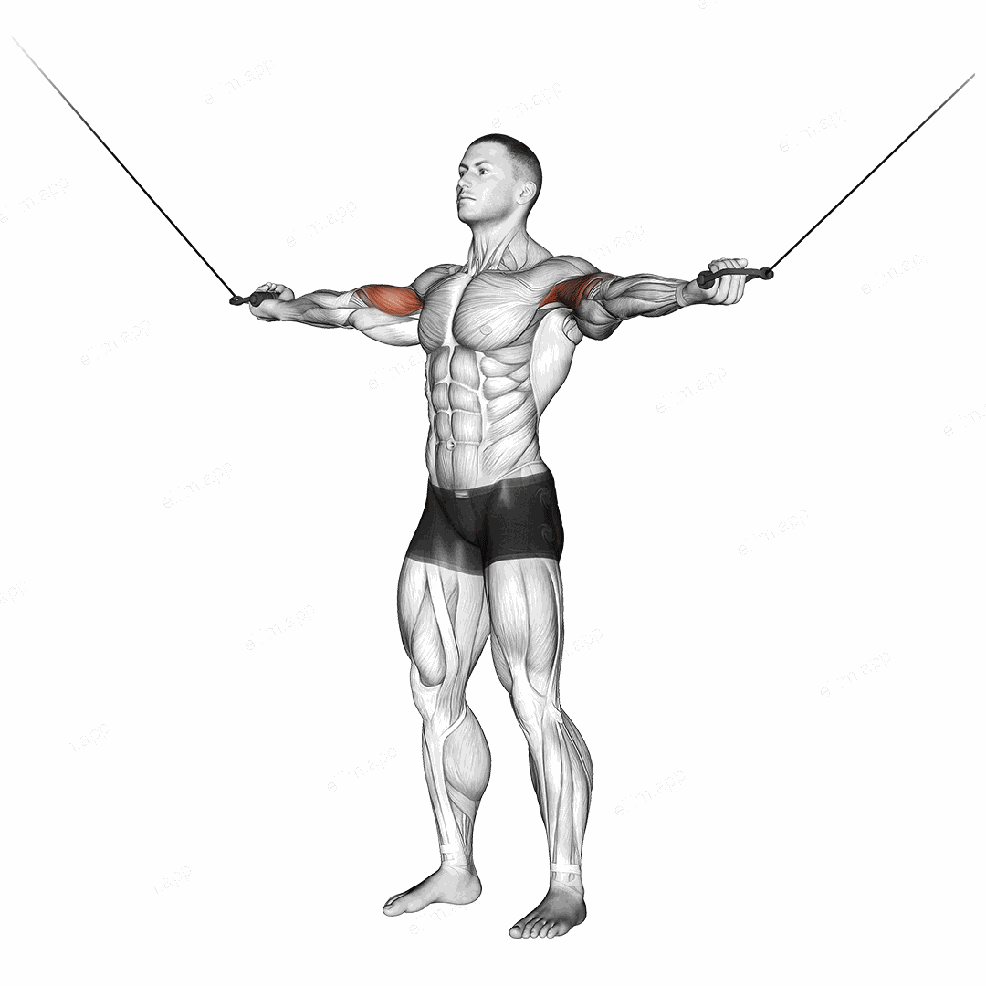 Cable Standing Inner Curl exercise targeting Upper Arms and Biceps Brachii