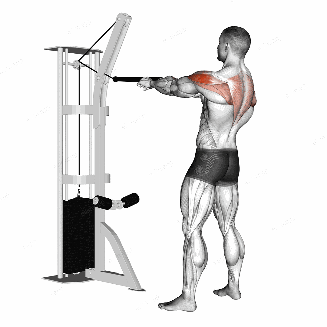 Cable Standing Rear Delt Row (with rope) exercise targeting Shoulders and Deltoid Posterior