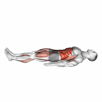 Single Leg Stretch (bent knee) exercise targeting Thighs and Gluteus Maximus