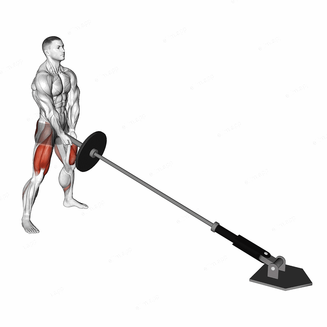 Landmine Sumo Squat exercise targeting Hips and Gluteus Maximus