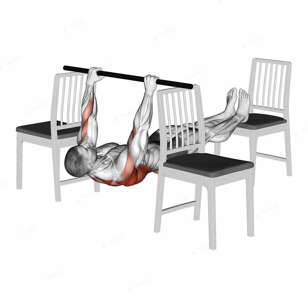 Elevanted Inverted Row between 3 Chairs exercise targeting Back and Infraspinatus