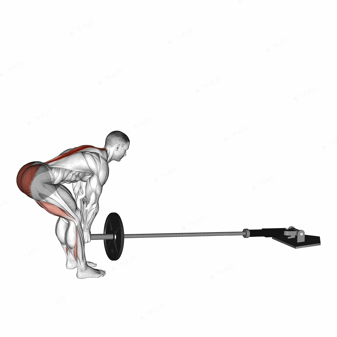Landmine Deadlift exercise targeting Hips