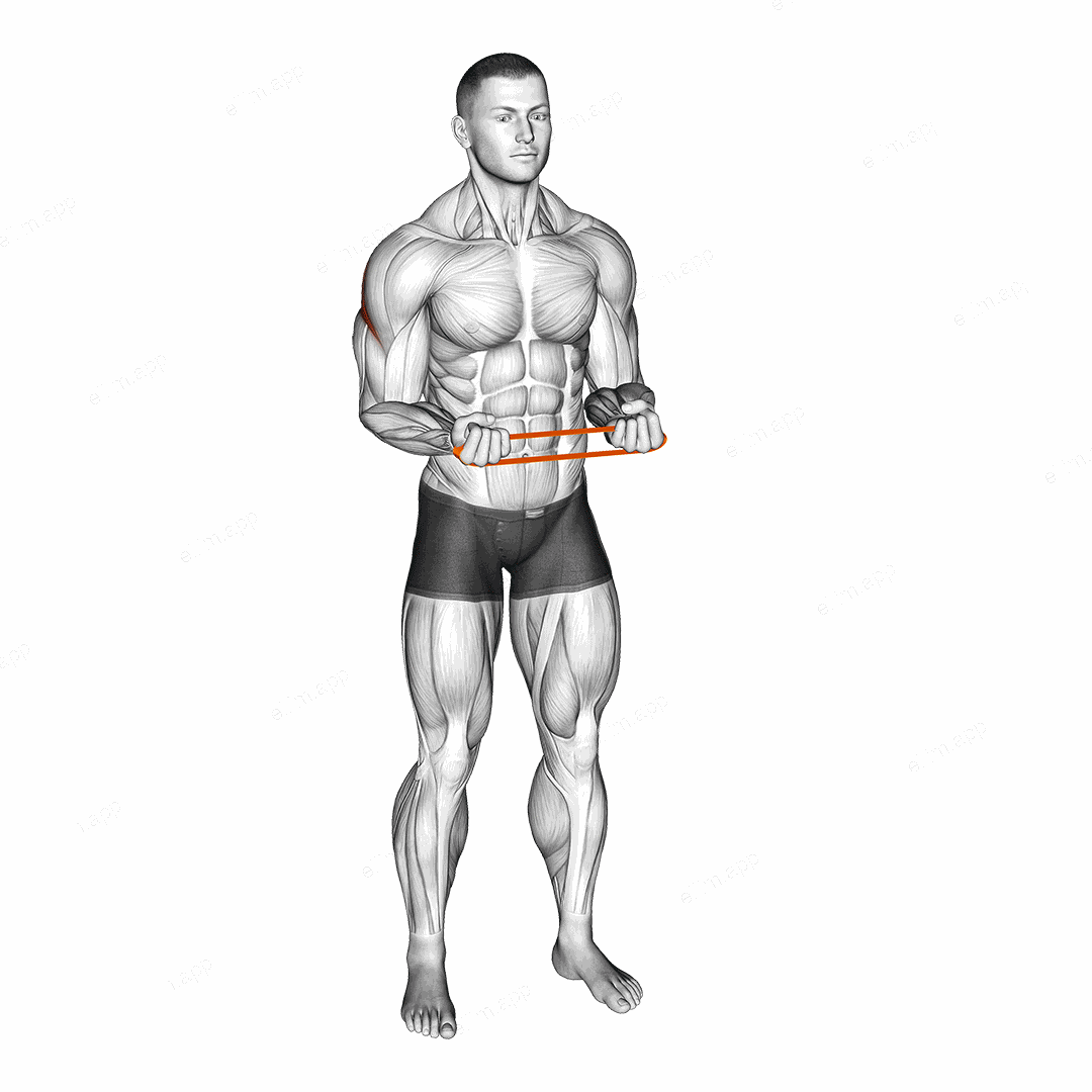 Resistance Band Pullapart (Supination at 90 Degrees) exercise targeting Back