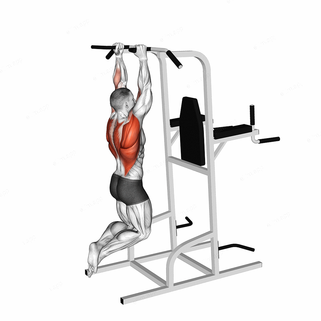 Shoulder Width Neutral Grip Pull-up exercise targeting Back