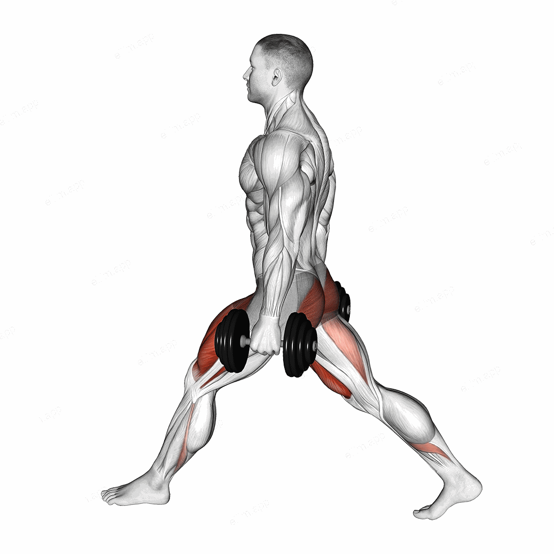 Dumbbell Low Split Squat exercise targeting Thighs