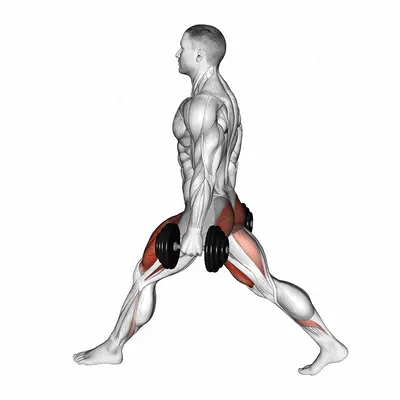 Dumbbell Low Split Squat exercise targeting Thighs
