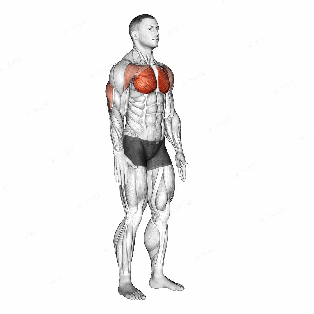 Isometric Chest Squeeze exercise targeting Chest and Pectoralis Major Sternal Head
