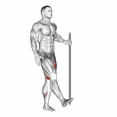 Single Leg Squat with Support (pistol) exercise targeting Thighs and Gluteus Maximus