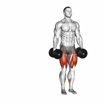 Dumbbell Lateral Lunge exercise targeting Thighs