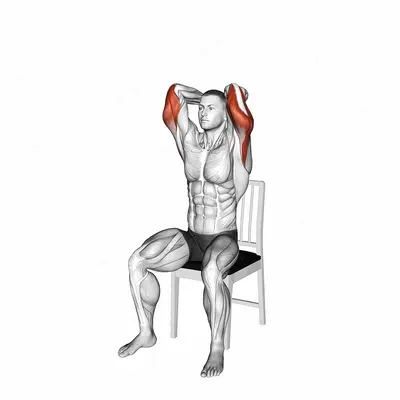 Seated Overhead Triceps Extension on a Chair exercise targeting Upper Arms