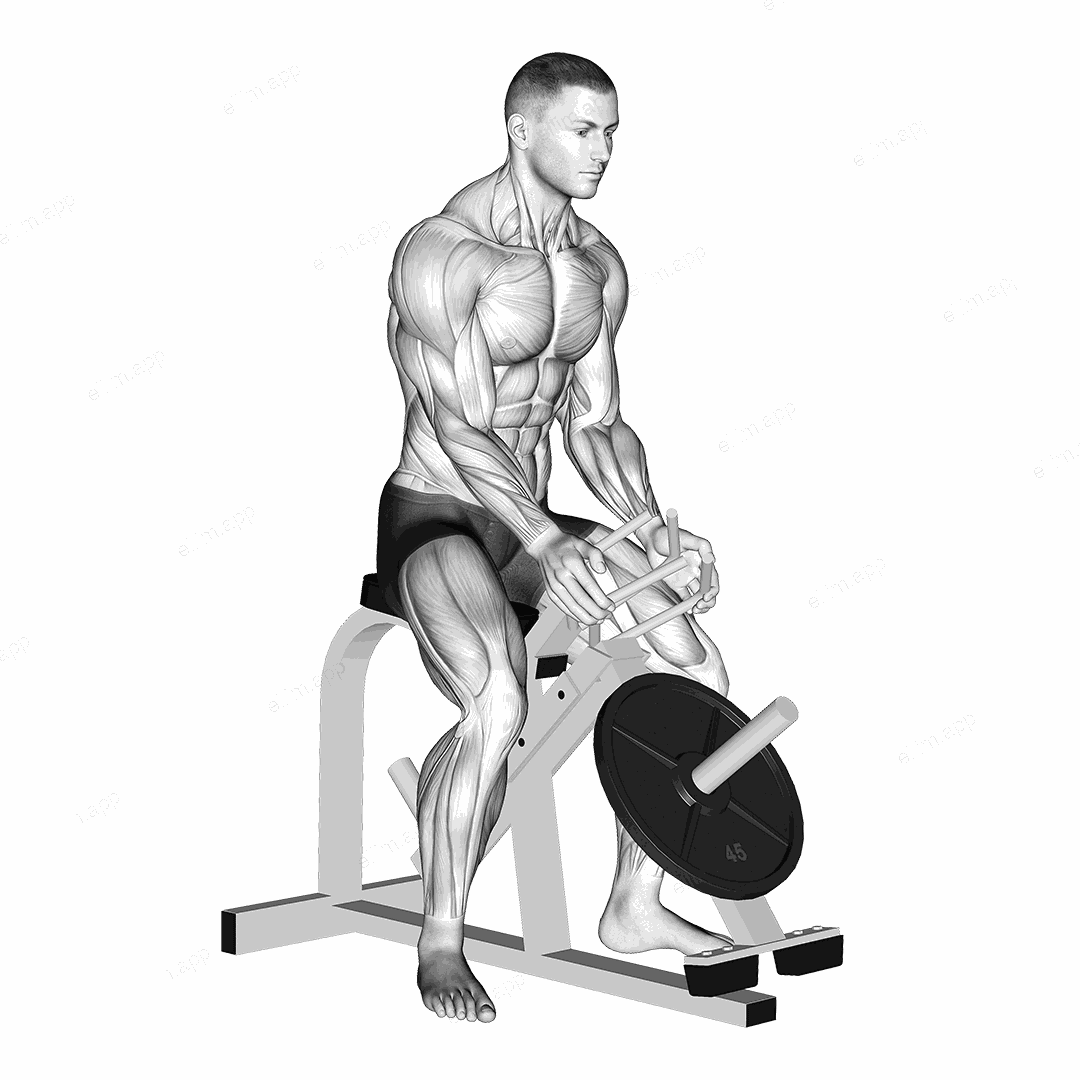 Lever Gripper Hands (plate loaded) exercise targeting Forearms