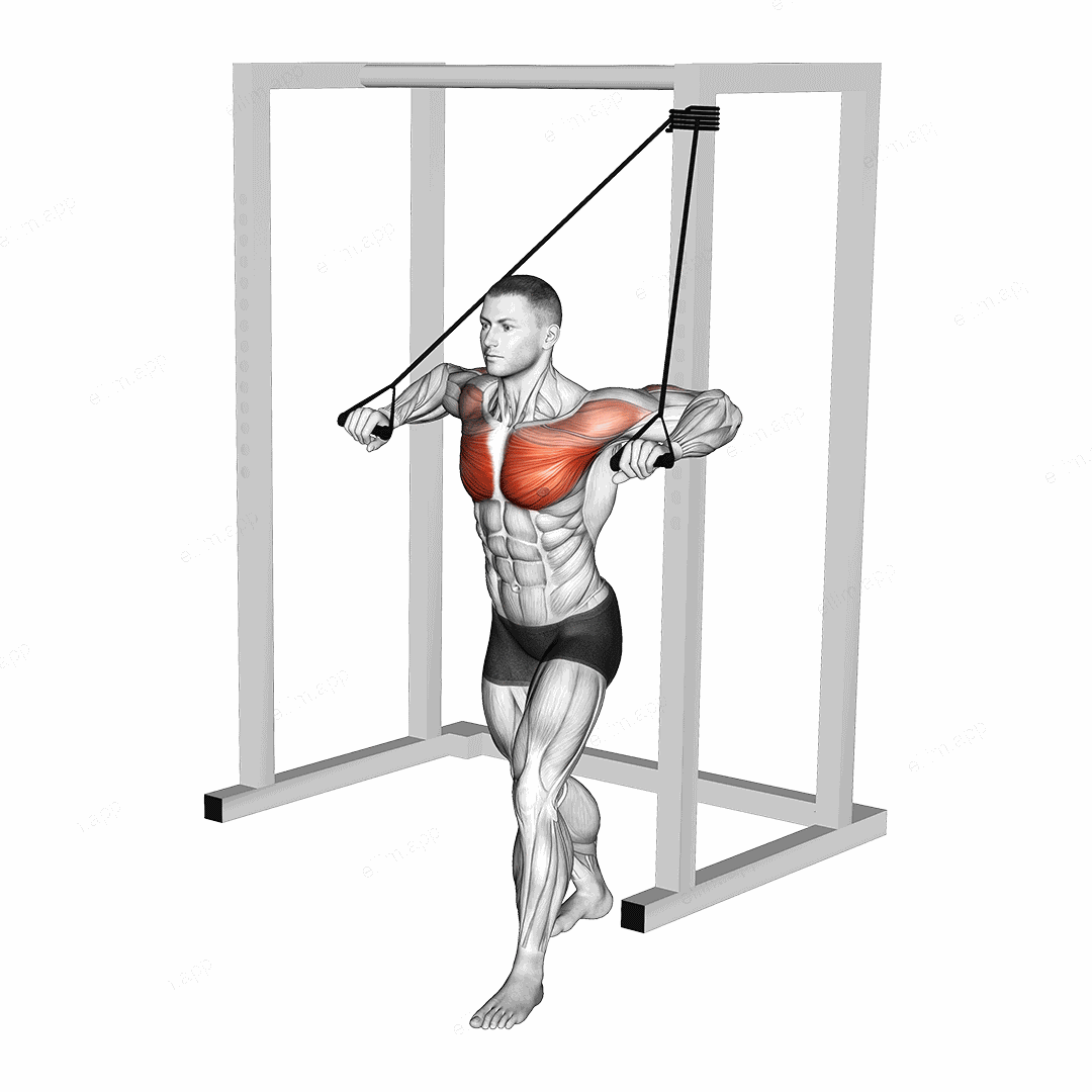Band Low Alternate Chest Press exercise targeting Chest and Pectoralis Major Sternal Head
