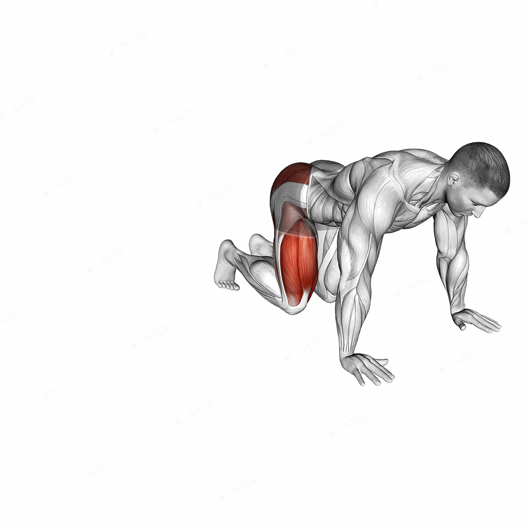 Kneeling Side Leg to Kick exercise targeting Hips and Gluteus Maximus