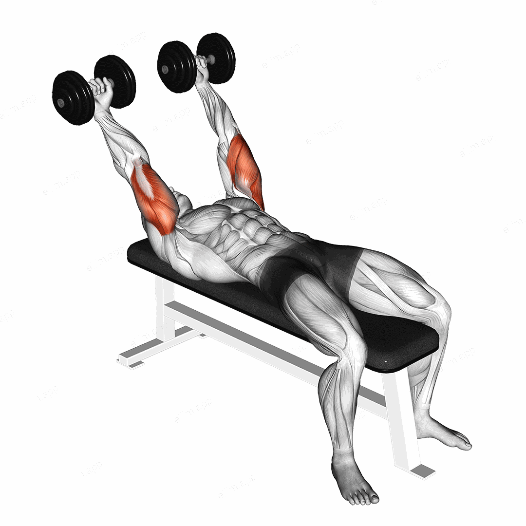 Dumbbell Pronate grip Triceps Extension exercise targeting Upper Arms