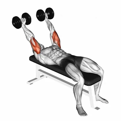 Dumbbell Pronate grip Triceps Extension exercise targeting Upper Arms