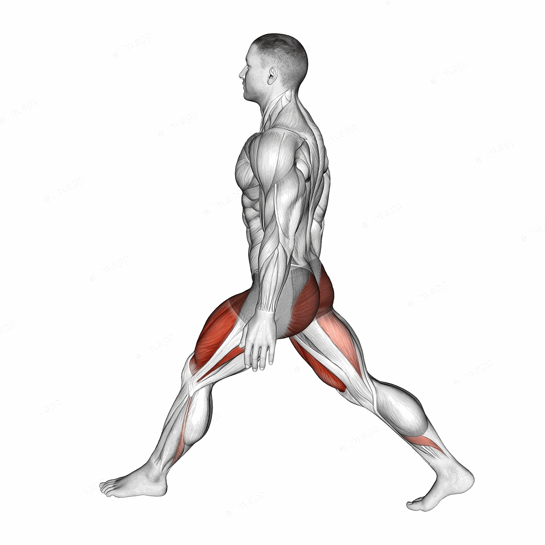 Bodyweight Low Split Squat exercise targeting Thighs