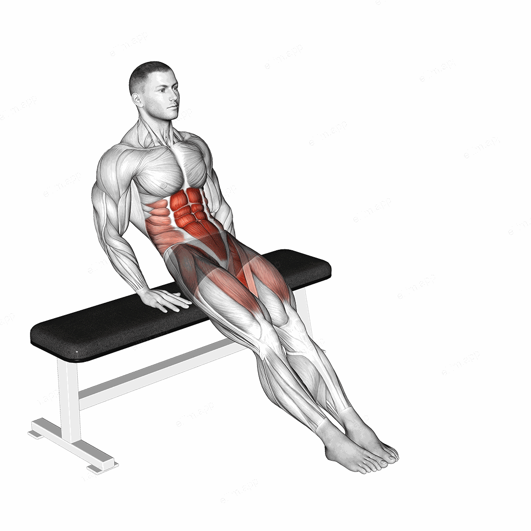 Bench Reverse Crunch Circle exercise targeting Adductor Brevis and Adductor Longus
