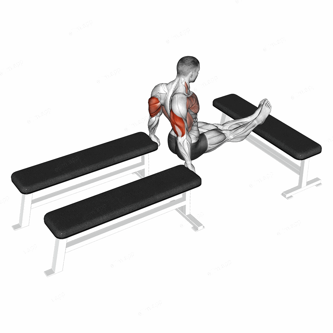 Three Bench Dip exercise targeting Upper Arms
