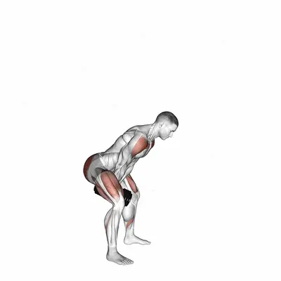 Dumbbell Full Swing exercise targeting Hips and Deltoid Anterior