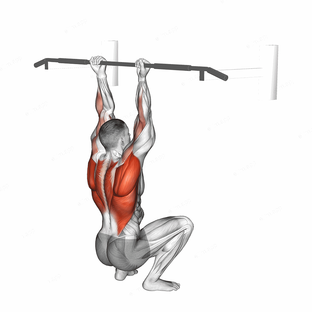 Assisted Chin-up (squat position) exercise targeting Back