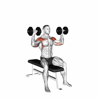 Dumbbell Bench Seated Press exercise targeting Shoulders and Deltoid Anterior