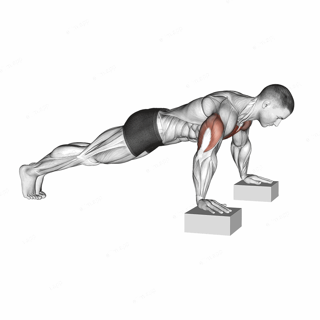 Elevanted Push-Up exercise targeting Chest and Pectoralis Major Clavicular Head