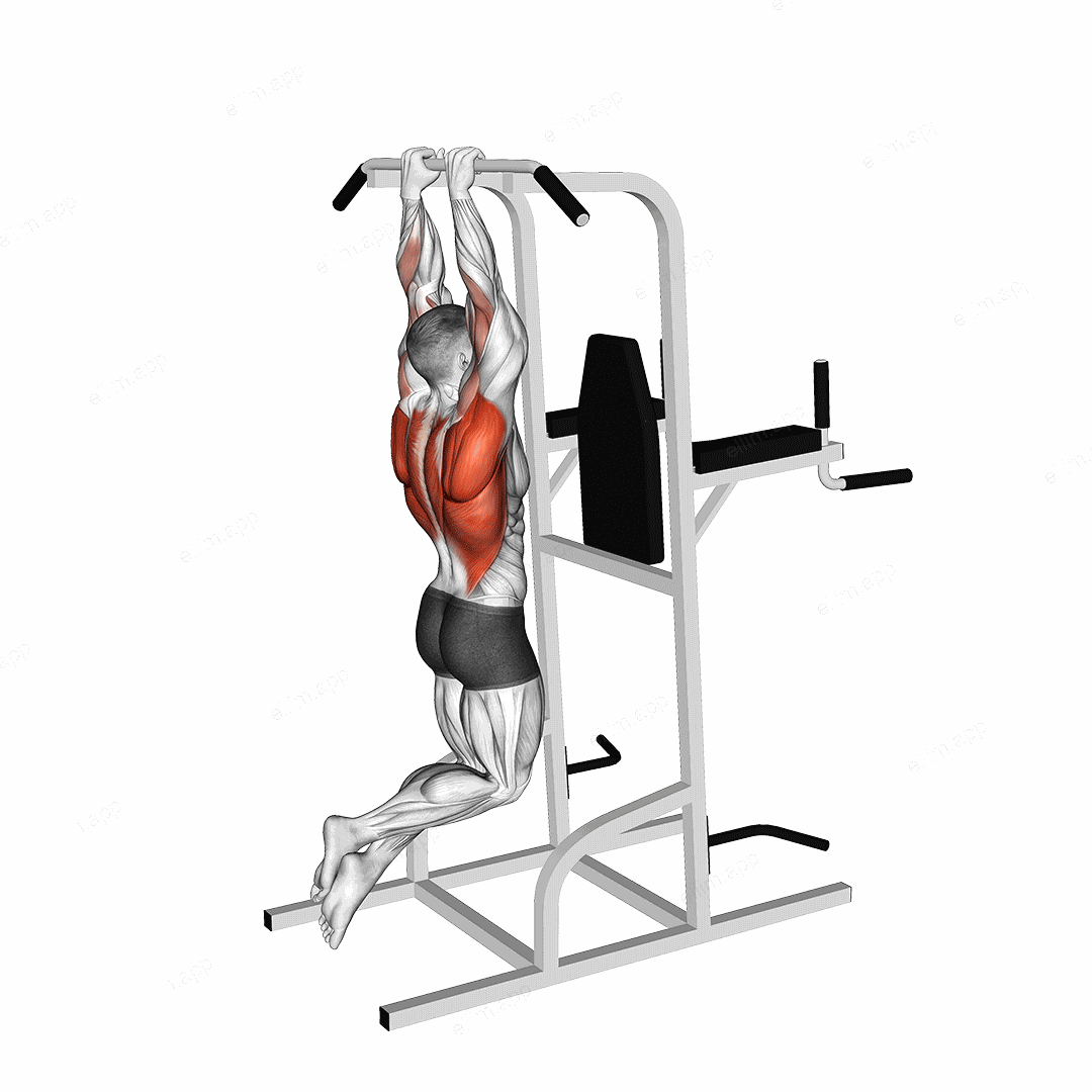 Close Grip Pull-Up exercise targeting Back