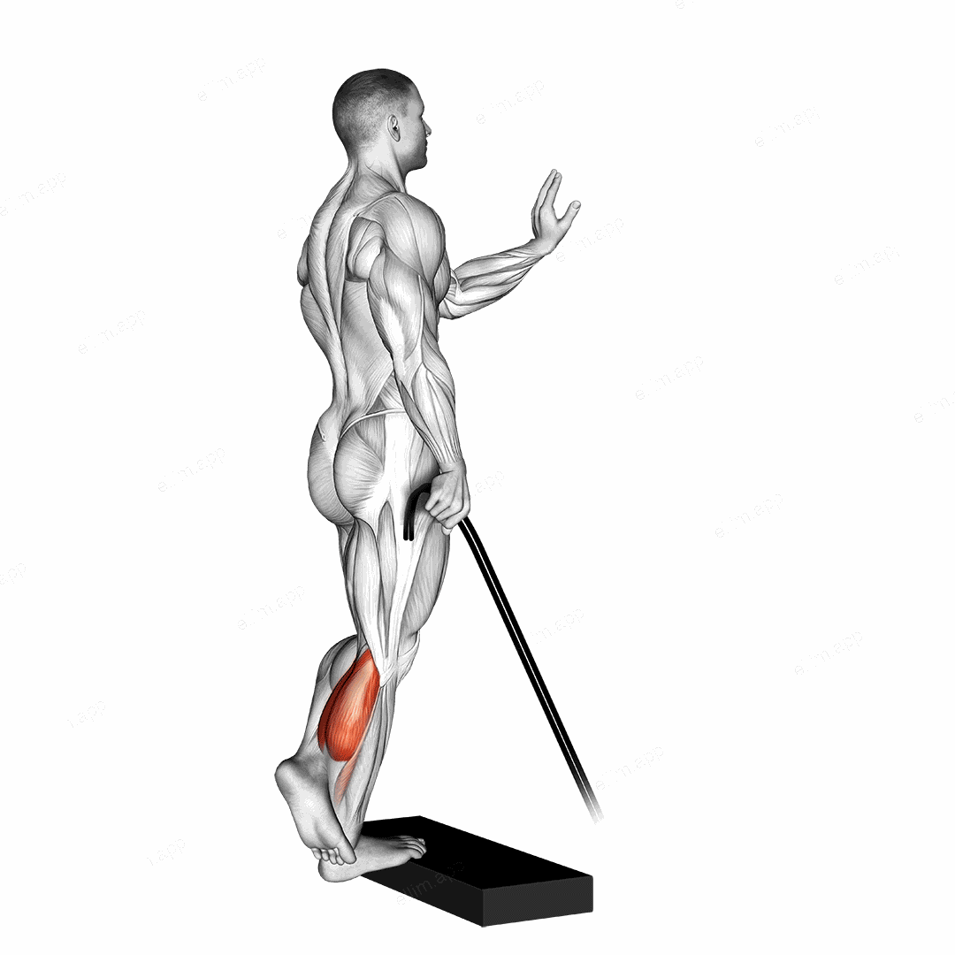 Band single leg calf raise exercise targeting Calves and Gastrocnemius