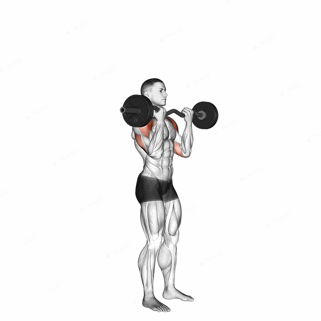 EZ Bar Standing Overhead Press exercise targeting Shoulders