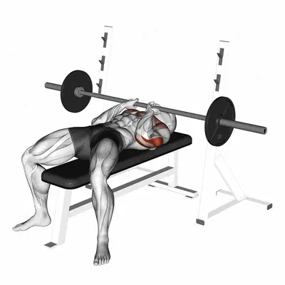 Barbell Close Grip Bench Press exercise targeting Upper Arms