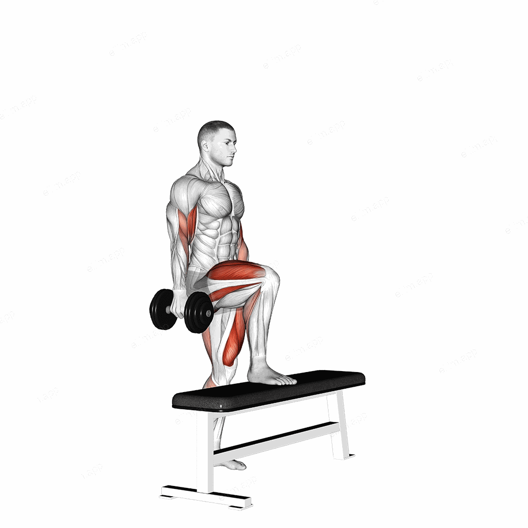 Dumbbell Step Up Single Leg Balance with Bicep Curl exercise targeting Upper Arms