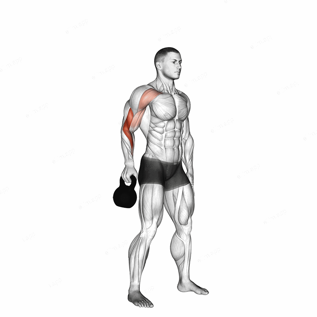 Kettlebell Bottoms Up Clean From The Hang Position exercise targeting Forearms and Brachialis