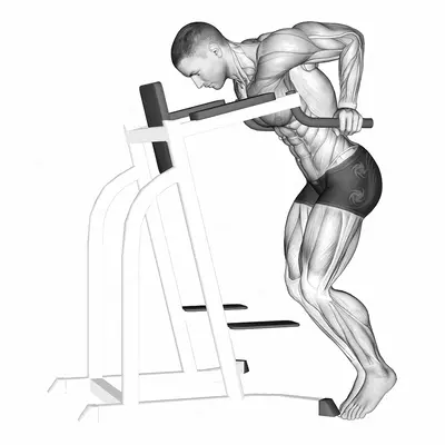 Dip Hold exercise targeting Chest