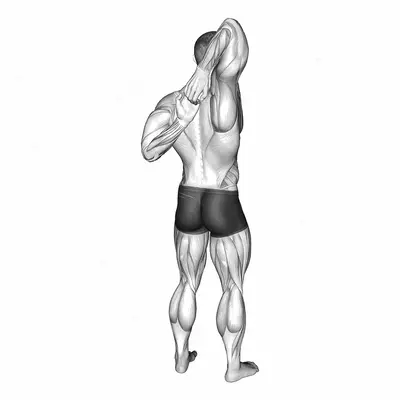 Shoulder Stretch Behind the Back exercise targeting Shoulders and Deltoid Posterior