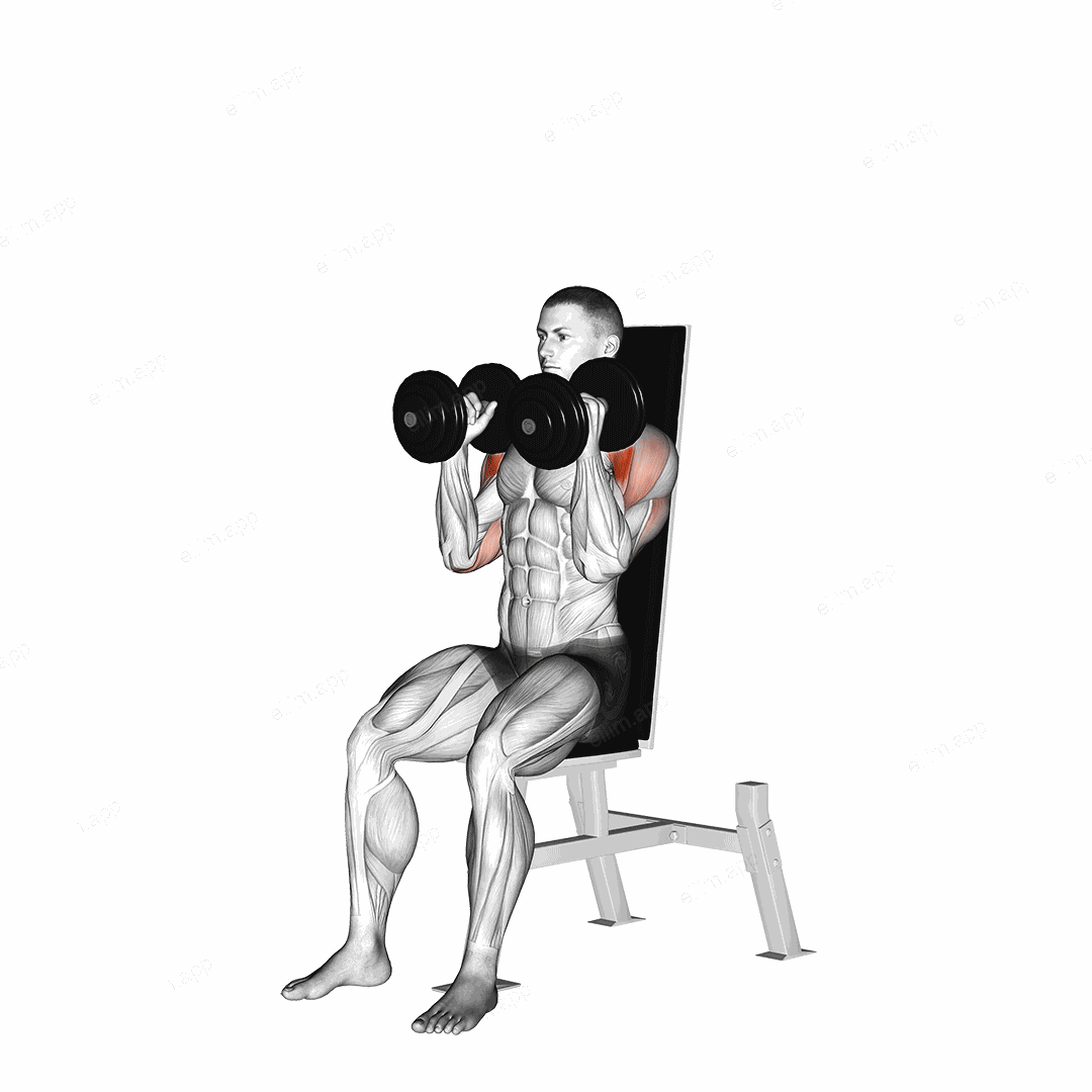 Dumbbell Seated Shoulder Press (parallel grip) exercise targeting Shoulders and Deltoid Anterior