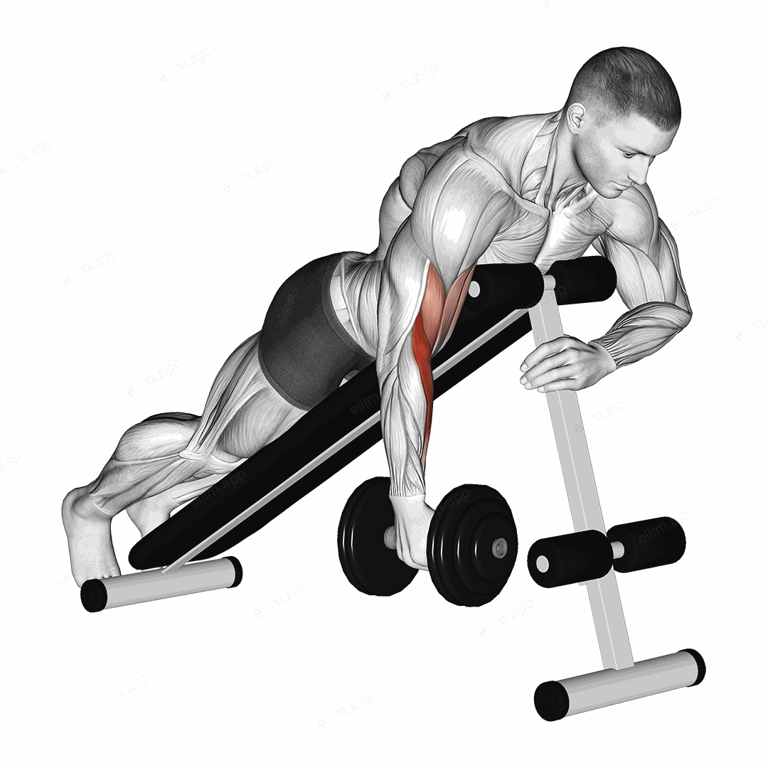 Dumbbell One Arm Prone Hammer Curl exercise targeting Upper Arms