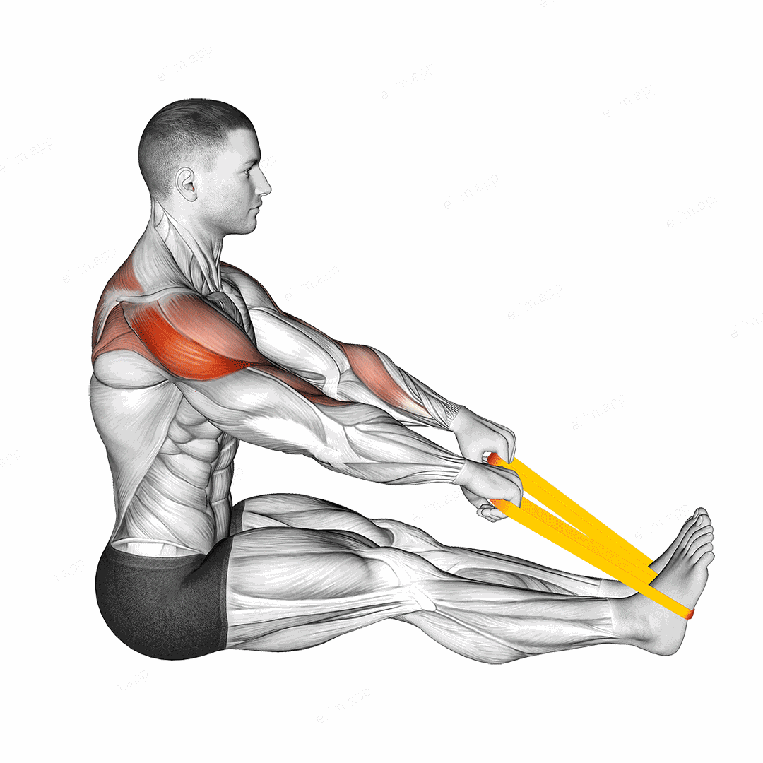 Resistance Band Seated Face Pull exercise targeting Shoulders