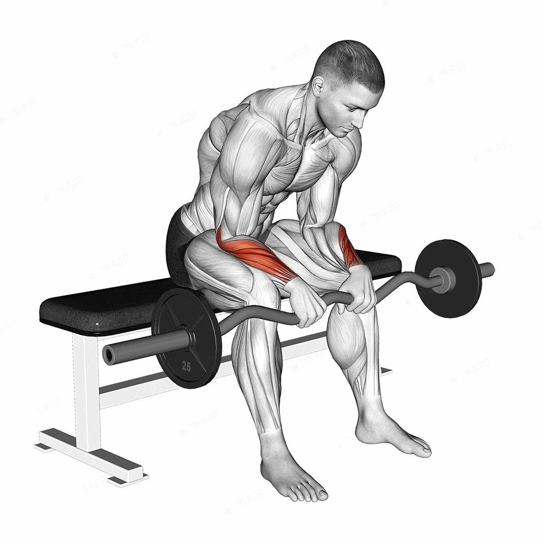 EZ Bar Seated Wrist Reverse Curl exercise targeting Forearms