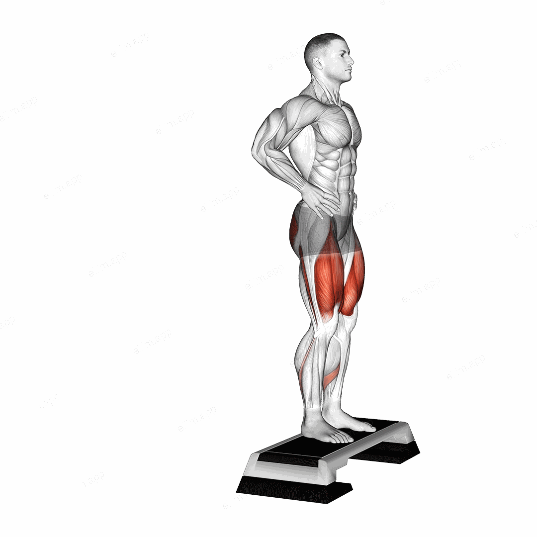Rear Lunge from Deficit exercise targeting Gluteus Maximus and Quadriceps