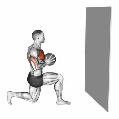 Medicine Ball Half Kneeling Chest Push exercise targeting Chest