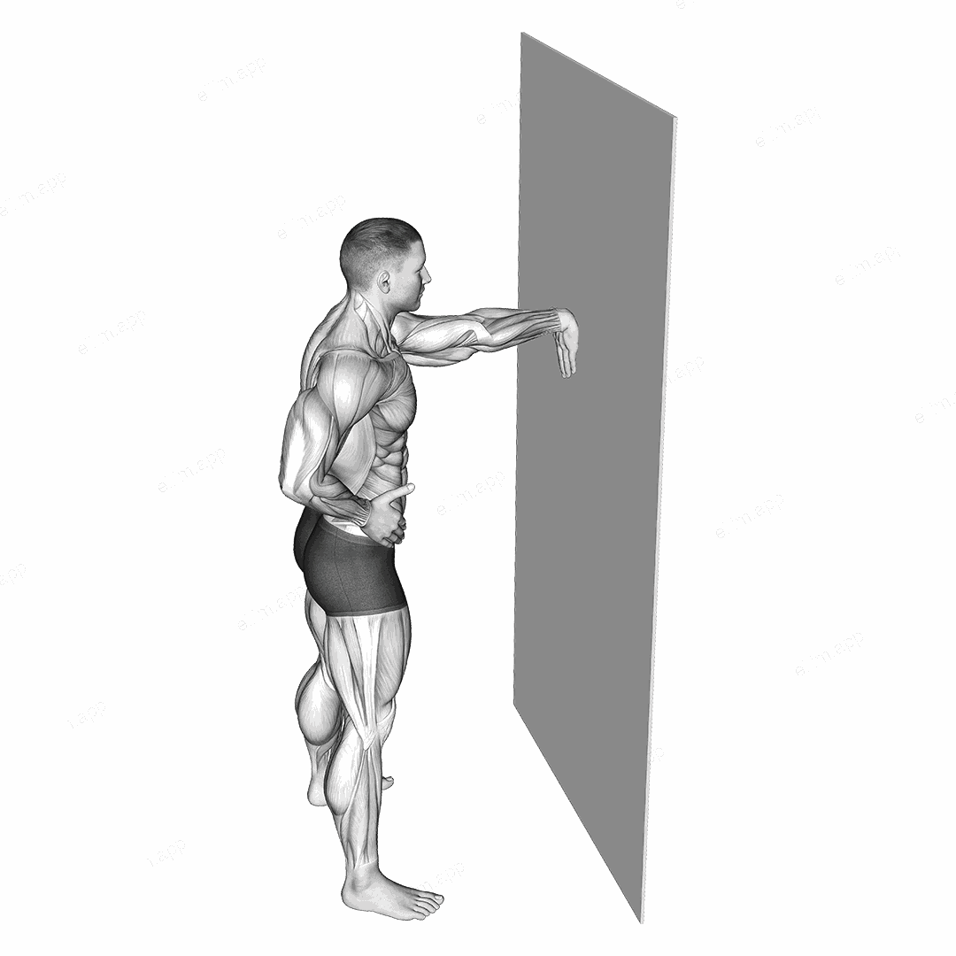Wall Flexors Stretch exercise targeting Forearms