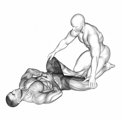 Assisted Lying Adductors Stretch exercise targeting Hips
