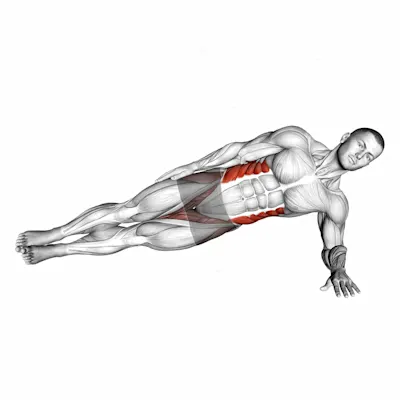 Side Plank exercise targeting Waist and Obliques