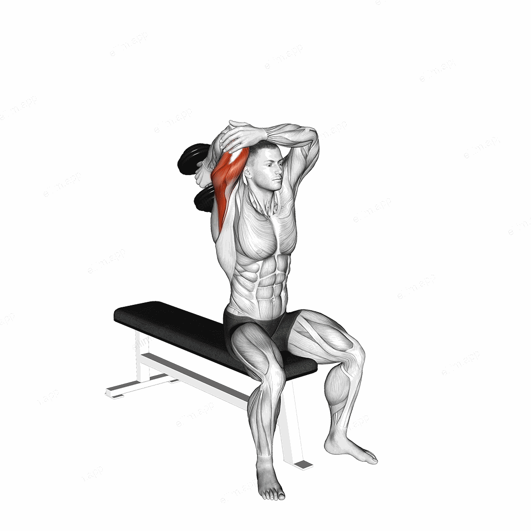Dumbbell Seated Single Arm Overhead Triceps Extension exercise targeting Upper Arms