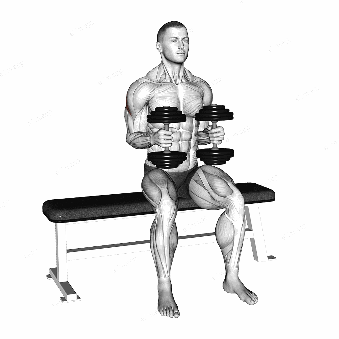 Dumbbell Seated External Rotation exercise targeting Shoulders