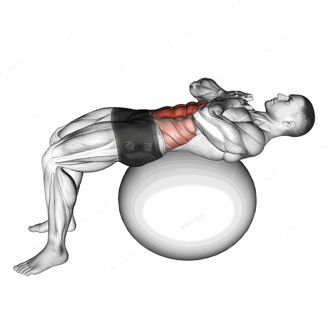 Crunch (on stability ball) exercise targeting Waist and Rectus Abdominis