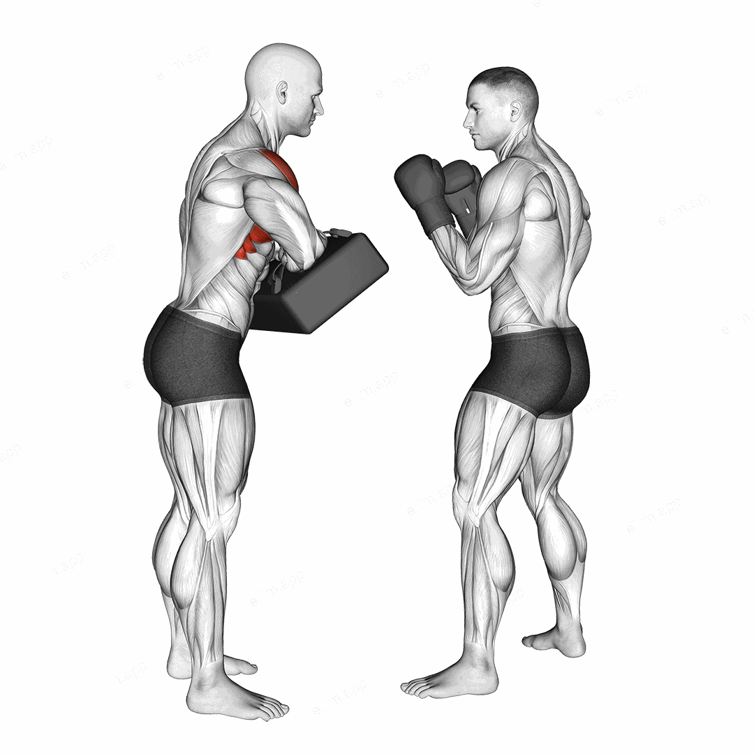 Front Knee Kick Kickboxing (with partner) exercise targeting Plyometrics