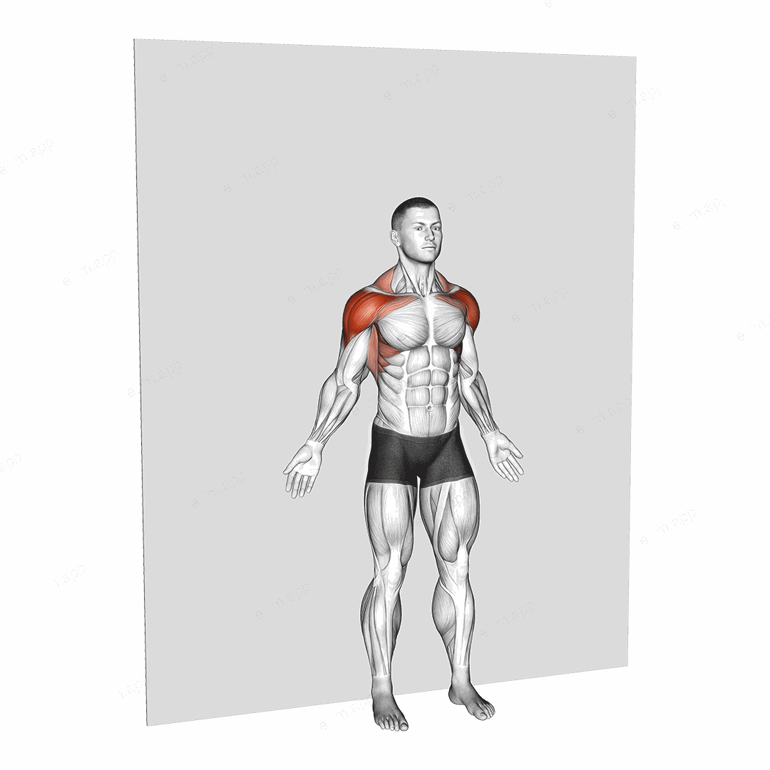 Bodyweight Standing Around World Wall Supported exercise targeting Shoulders and Deltoid Anterior