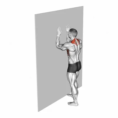 Serratus Wall Slide exercise targeting Back and Serratus Anterior
