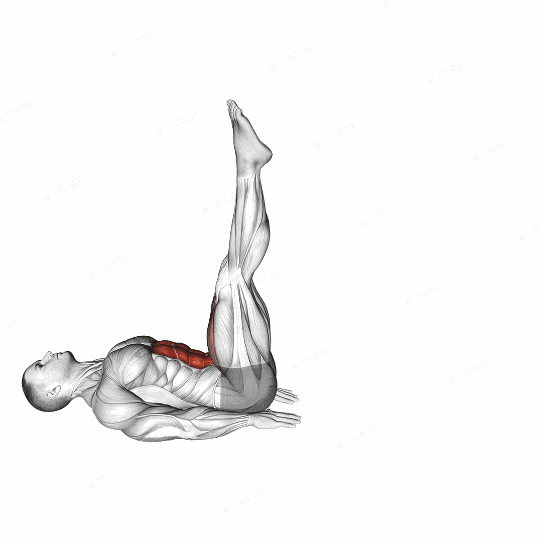 Alternate Leg Raise exercise targeting Hips and Iliopsoas